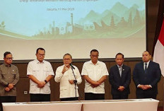 Proyek PSEL Nasional Bergerak Cepat, Danantara Fokus Enam Lokasi Prioritas