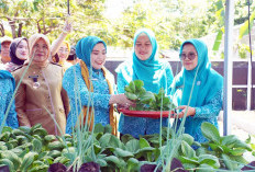 TP PKK Sumsel Ajak Warga PALI Wujudkan Kemandirian Pangan