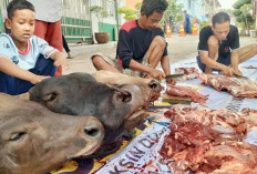 Hari Raya Idul Adha 1445 Hijriah di Palembang, Tertib Aman dan Lancar