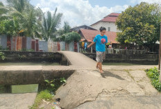 Jerambah Tampa Penyangga Besi Pengaman