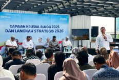 2026, Bulog Target Serap  Empat Juta Ton Beras Petani 