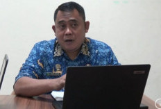 Realisasi Investasi Sumsel Triwulan I 2026 Tembus Rp12,96 Triliun, Sektor Domestik Jadi Motor Penggerak