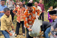 Tebar 20 Kantong Bibit Ikan