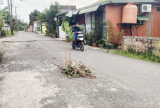 Awas Ada Lubang di Tengah Jalan Mayor (Laut) Wiratno