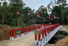 Sinergi TNI Bangun Jembatan Bailey Sungai Lasi