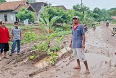 Jalan penghubung Rusak, Anggota DPRD OI Minta Pemkab Perbaiki Jalan Rusak Payaraman-Betung