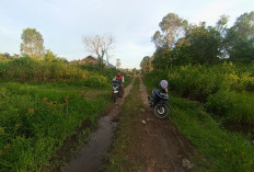 Mimpi Warga Bangun Pondok Pesantren Terganjal Jalan Rusak, Sako Baru Menagih Sentuhan Aspal