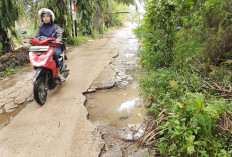 Jalan Bagusnya Tinggal Sejengkal