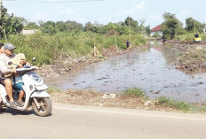Kawasan Rawa Jalan Halik Dibersihkan