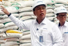 Bulog Pastikan Kualitas dan Ketahanan Pangan, 270 Ton Beras Dikirim ke Ternate