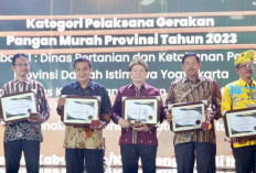 Pj Gubernur Elen Setiadi Terima Penghargaan Bapanas Award dari Badan Pangan Nasional