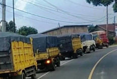 APBI Nilai Pembatasan Angkutan Batu Bara Perlu Evaluatif dan Berbasis Kesiapan Infrastruktur