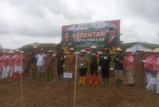 Swasembada Pangan,  4 Hektare Lahan di Palembang Ditanami Jagung
