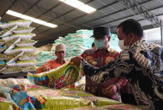 Pastikan Stok Beras, Tinjau Gudang Buyung Gasing