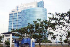 SLE Index 2026: Bank Sumsel Babel Tangguh di Peringkat Teratas Nasional