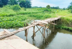 Jembatan Kayu Tak Lekang oleh Waktu