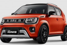 TRANSFORMASI SUZUKI IGNIS 2026: Mesin Baru, Performa Makin Halus