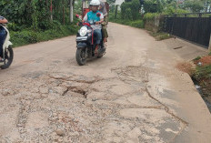 Lubang Besar di Jalan Gogokan Kito Talang Kepuh