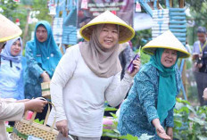 Dorong Kemandirian Pangan Keluarga dari Pekarangan Rumah