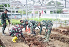 Ketahanan Pagan Asta Cita Presiden, Dandim 0418/Palembang tinjau kesiapan Urban Farming dan RTLH