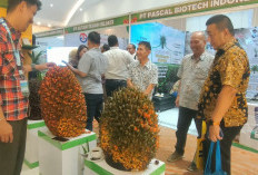 Andalas Forum VI 2026: GAPKI Dorong Hilirisasi dan Daya Saing Sawit Indonesia