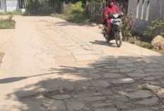 Jalan Soak Bujang Banyak Retakan Panjang dan Berlubang 