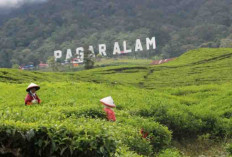 Maksimalkan Potensi, Tambah Daya Tarik Wisata