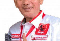 Redam Gejolak Antara DPRD dan Pemkot Palembang, ProJo Apresiasi Masukan DPW PBB Sumsel 