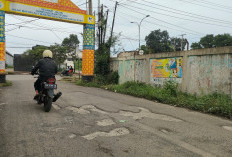 Jalan Mayor Laut Wiratno Banyak Berlubang