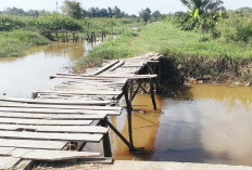 Jembatan Kayu Ini Jadi Akses Warga