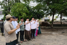 Syukuran Kepengurusan Baru dan Sambutan Ramadhan, DPW PKB Sumsel Potong 10 Sapi