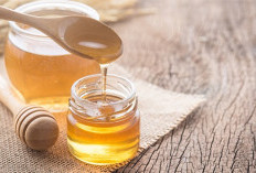 Sinergi Fitofarmaka Nusantara dalam Menjaga Integritas Seluler dan Pertahanan Imun Alami