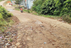 Jalan Soak Bujang Banyak Lubang Besar dan Retakan 