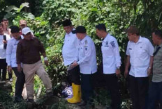 Cepat Tanggap Bupati Lahat Tinjau Irigasi Tanjung Payang