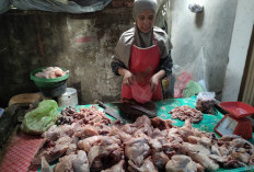 Harga Ayam Melonjak di Pasar Silaberanti Jelang Lebaran