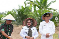 Muara Enim Komitmen Gelorakan Swasembada Pangan