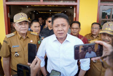 Gubernur Sumsel Puji Kinerja Bupati Toha dan Wabup Rohman   