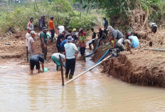 Warga Mulak Gotong Royong Perbaiki Irigasi Jebol