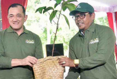 Tanam 400 Bibit Pohon di Punti Kayu