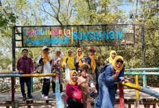 PLN UIP Sumbagsel Nyalakan Harapan di Pesisir Banyuasin, Lewat Program Pesona Mangrove