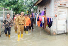 Puluhan Rumah Warga di Desa Tanjung Telang Diterjang Banjir