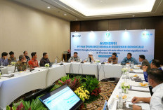 Pemda Bengkulu Dukung PLN  Kembangan PLTP Hululais dan Kepahiang