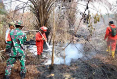 Tinjau Titik Karhutla, Sumsel Prioritas BNPB