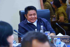 Sumsel Bidik Pasar Wisata Kesehatan