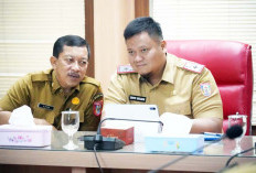 Pemkab Banyuasin Ikuti Rapat Rutin Inflasi Daerah Bersama Kemendagri
