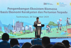 Pengembangan Biomassa PLN di Tasikmalaya: Dikelola Masyarakat, Didukung Pemerintah