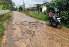 Bertambah Lebar dan Dalam Lubang di Jalan Gogokan Kito 