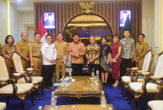 Dorong Peluang Investasi dan Kerja Sama Tiongkok - Sumsel