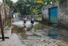 Jalan Bonsai Jaya Selalu Tergenang Air 