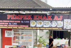 Pemkot Palembang Dorong Kampanye Gemar Makan Ikan untuk Tingkatkan Konsumsi Warga